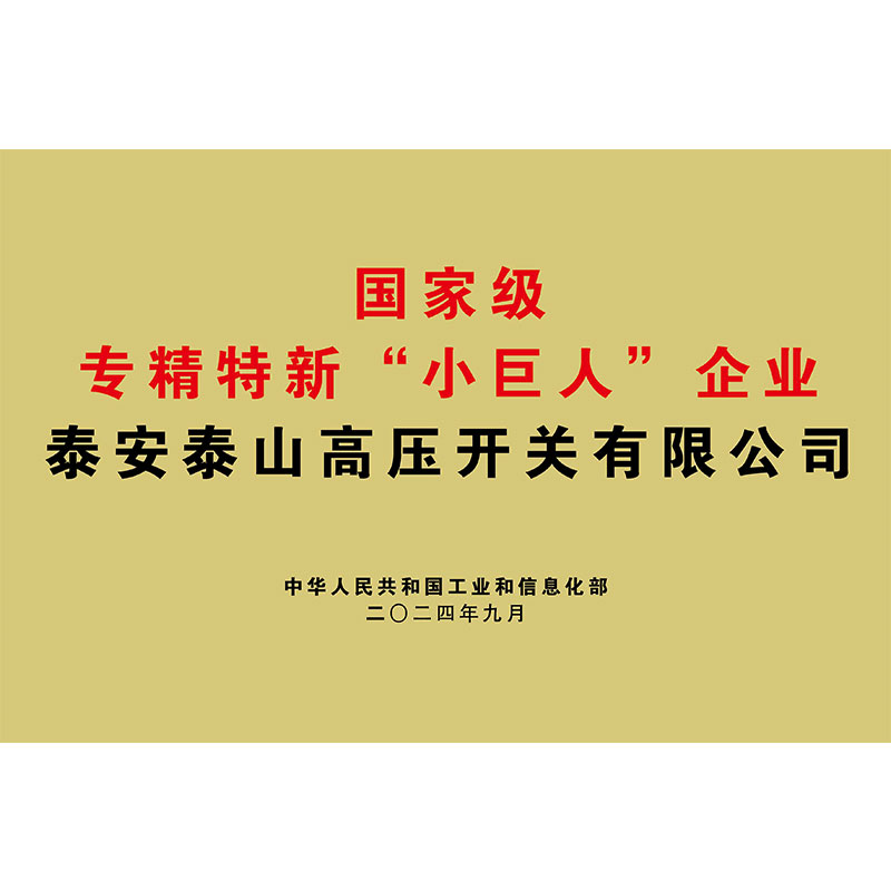 國(guó)家級(jí)專精特新“小巨人”企業(yè)